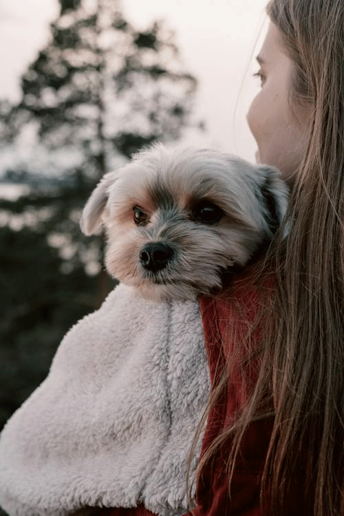 A girl holding her white pet