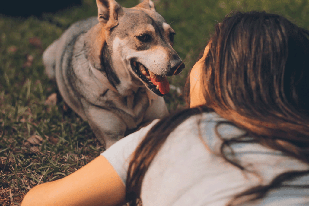 A-lady-seeing-her-pet