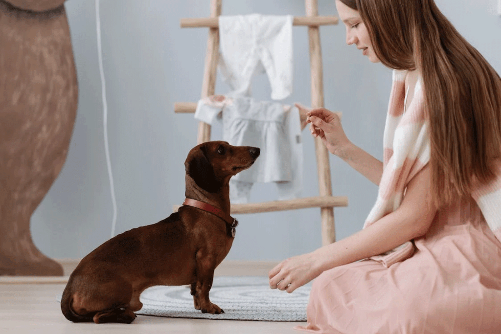 A young lady in front of her pet